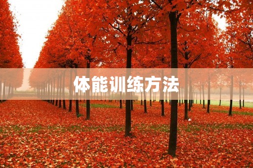 体能训练方法:提升身体素质的有效途径 体能训练方法:提升身体素质的有效途径
