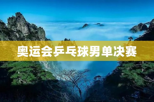 奥运会乒乓球男单决赛：中国选手许昕夺冠