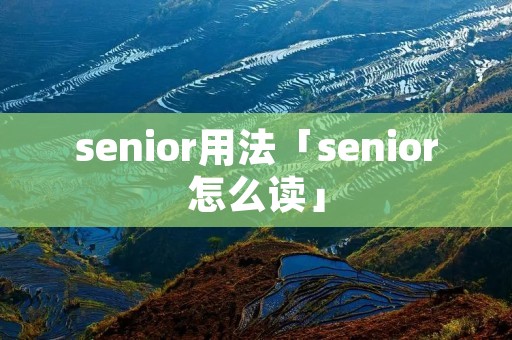 senior用法「senior怎么读」