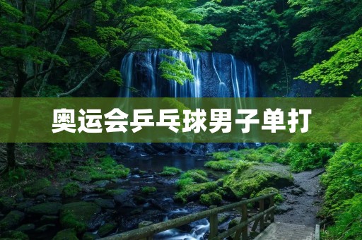 奥运会乒乓球男子单打：中国选手夺冠