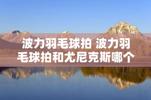 波力羽毛球拍 波力羽毛球拍和尤尼克斯哪个好