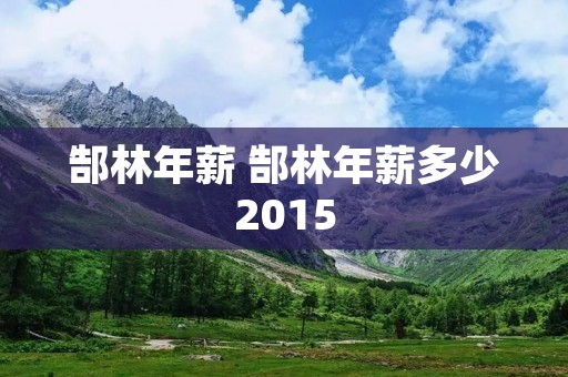 郜林年薪 郜林年薪多少2015 郜林年薪 郜林年薪多少2015