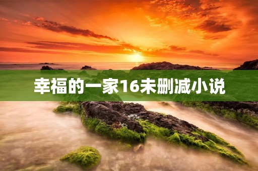 幸福的一家16未删减小说:家人间的真爱