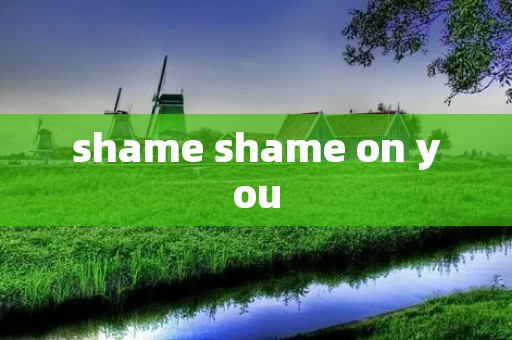 shame shame on you