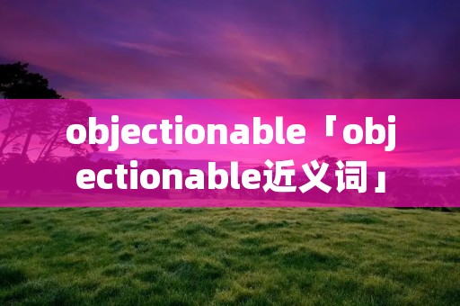 objectionable「objectionable近义词」