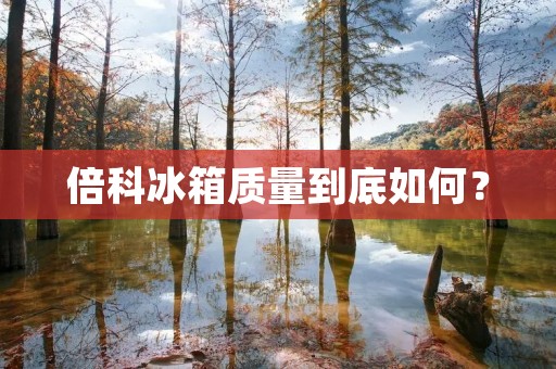 倍科冰箱质量到底如何？