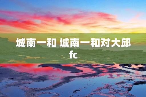 城南一和 城南一和对大邱fc