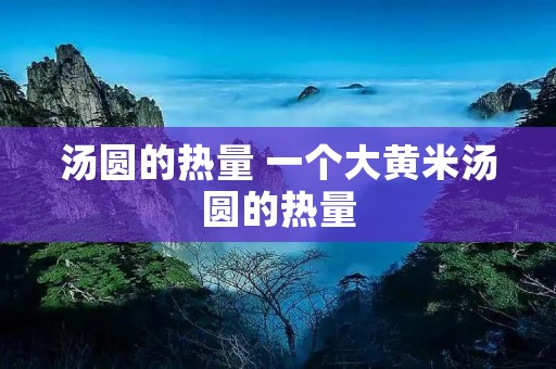 汤圆的热量 一个大黄米汤圆的热量