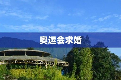 奥运会求婚:一场浪漫的爱情盛宴 奥运会求婚:一场浪漫的爱情盛宴