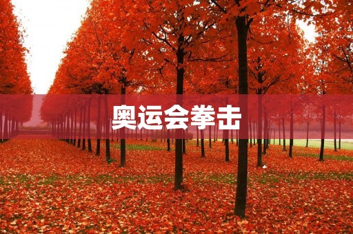 奥运会拳击:拳击运动员的梦想之地 奥运会拳击:拳击运动员的梦想之地