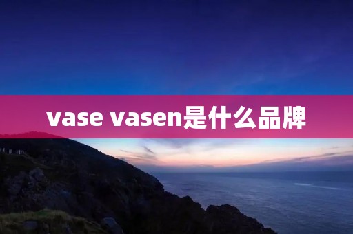 vase vasen是什么品牌