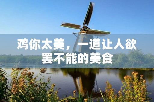 鸡你太美,一道让人欲罢不能的美食 鸡你太美,一道让人欲罢不能的美食