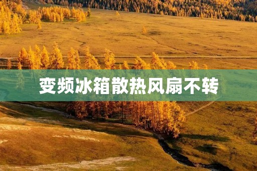 变频冰箱散热风扇不转：如何解决？