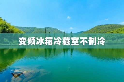 变频冰箱冷藏室不制冷：原因与解决方法