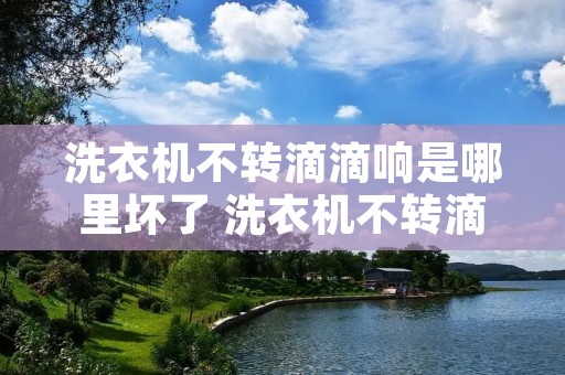洗衣机不转滴滴响是哪里坏了 洗衣机不转滴滴响是哪里坏了一会好一回坏