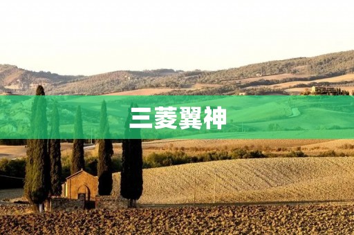 三菱翼神:重新定义轿车驾驭体验 三菱翼神:重新定义轿车驾驭体验