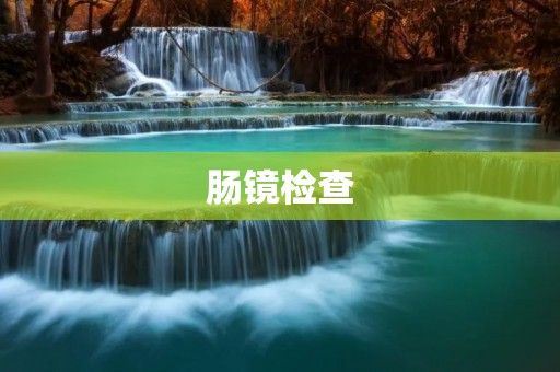 肠镜检查:详解肠道内部情况 肠镜检查:详解肠道内部情况