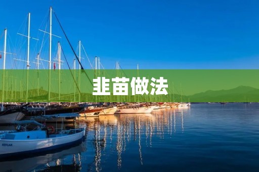 韭苗做法：让你吃出家的味道