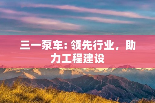 三一泵车: 领先行业，助力工程建设