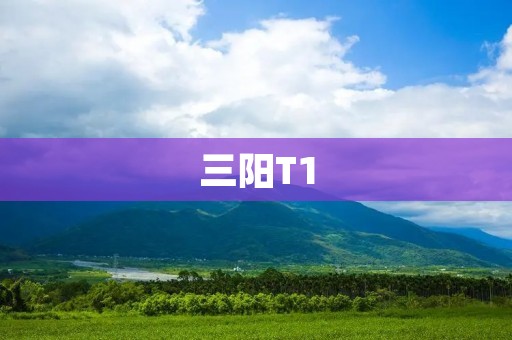 三阳T1:一款出色的电脑主板 三阳T1:一款出色的电脑主板