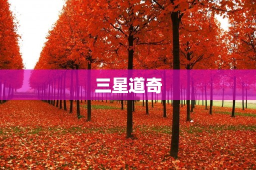 三星道奇：独具匠心的科技与设计