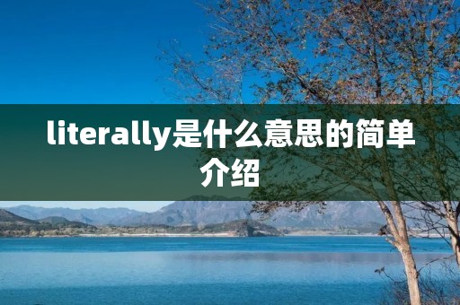 literally是什么意思的简单介绍