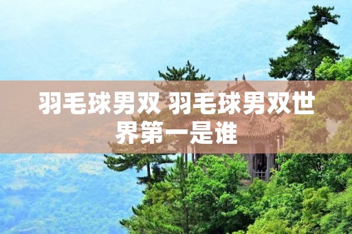 羽毛球男双 羽毛球男双世界第一是谁
