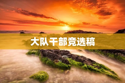 大队干部竞选稿:我愿为大家做出更多的贡献