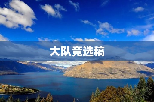 大队竞选稿:让我们共同创造美好的未来