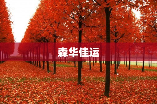 森华佳运：打造一流物流服务