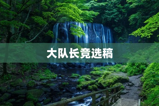 大队长竞选稿:我愿意成为你们的领袖