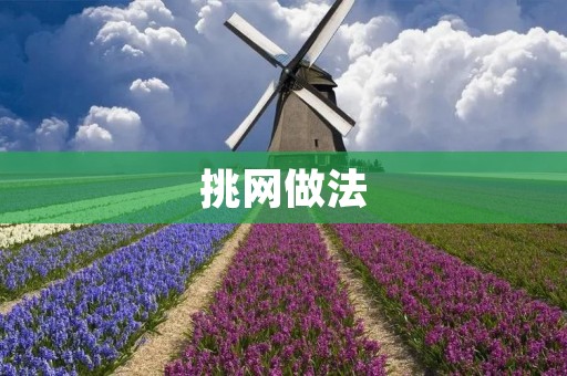 挑网做法：让你的美食更加美味