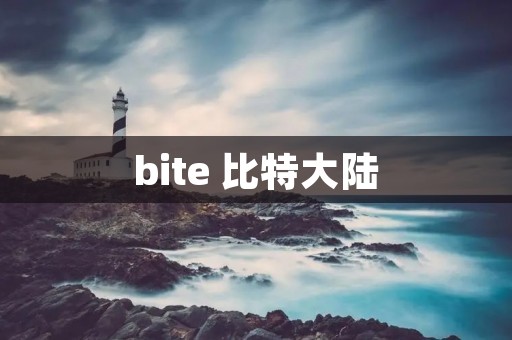 bite 比特大陆