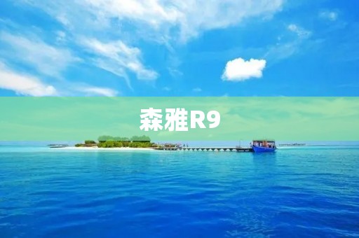 森雅R9:一款强大的豪华SUV 森雅R9:一款强大的豪华SUV