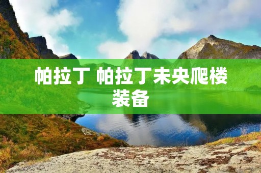 帕拉丁 帕拉丁未央爬楼装备