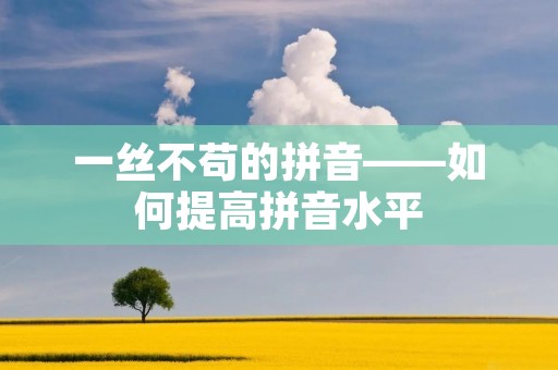 一丝不苟的拼音——如何提高拼音水平