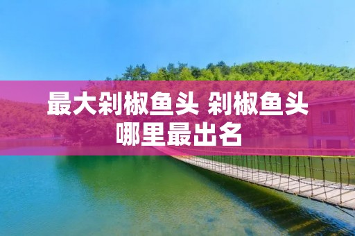 最大剁椒鱼头 剁椒鱼头哪里最出名