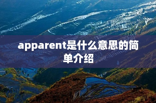 apparent是什么意思的简单介绍