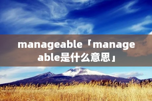 manageable「manageable是什么意思」