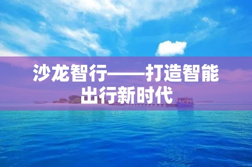 沙龙智行——打造智能出行新时代