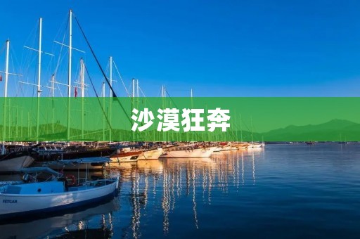沙漠狂奔:一个极限运动的挑战 沙漠狂奔:一个极限运动的挑战