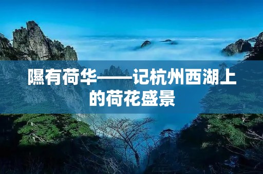 隰有荷华——记杭州西湖上的荷花盛景