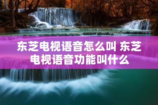 东芝电视语音怎么叫 东芝电视语音功能叫什么