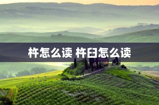 杵怎么读 杵臼怎么读 杵怎么读 杵臼怎么读