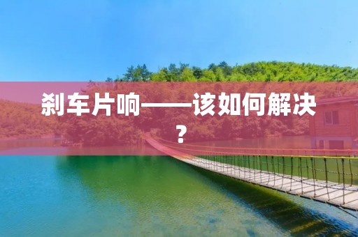 刹车片响——该如何解决？