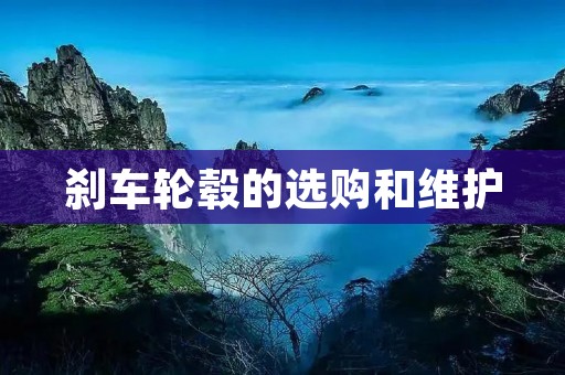刹车轮毂的选购和维护 刹车轮毂的选购和维护