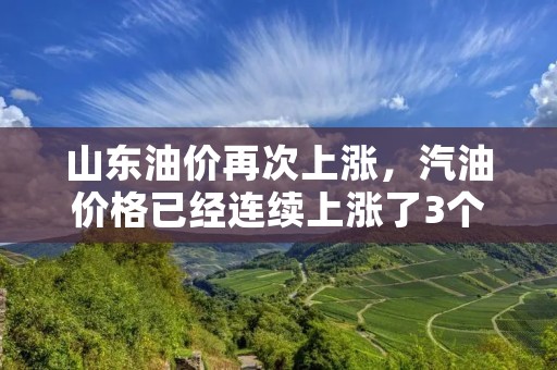 山东油价再次上涨,汽油价格已经连续上涨了3个工作日,涨幅达到了每升0.08元。这是自今年3月以来,山东省内油价的第二次上涨,让不少车主倍感压力。 山东油价再次上涨,汽油价格已经连续上涨了3个工作日,涨幅达到了每升0.08元。这是自今年3月以来,山东省内油价的第二次上涨,让不少车主倍感压力。