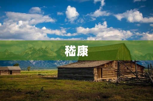 嵇康:一位文学家与政治家的传奇人生 嵇康:一位文学家与政治家的传奇人生