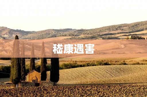 嵇康遇害:一场文化与政治的悲剧 嵇康遇害:一场文化与政治的悲剧