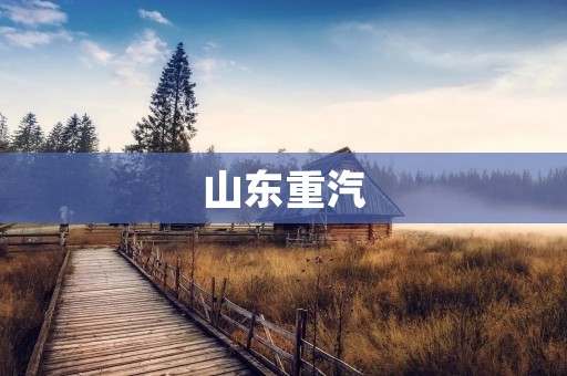 山东重汽:中国卡车行业的领军者 山东重汽:中国卡车行业的领军者